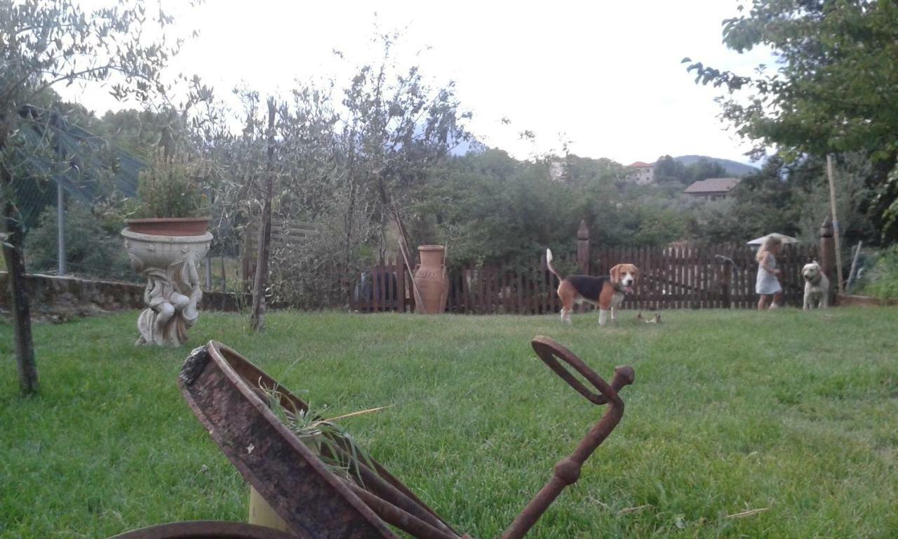 B&B Il Feudo Fontechiari Bagian luar foto